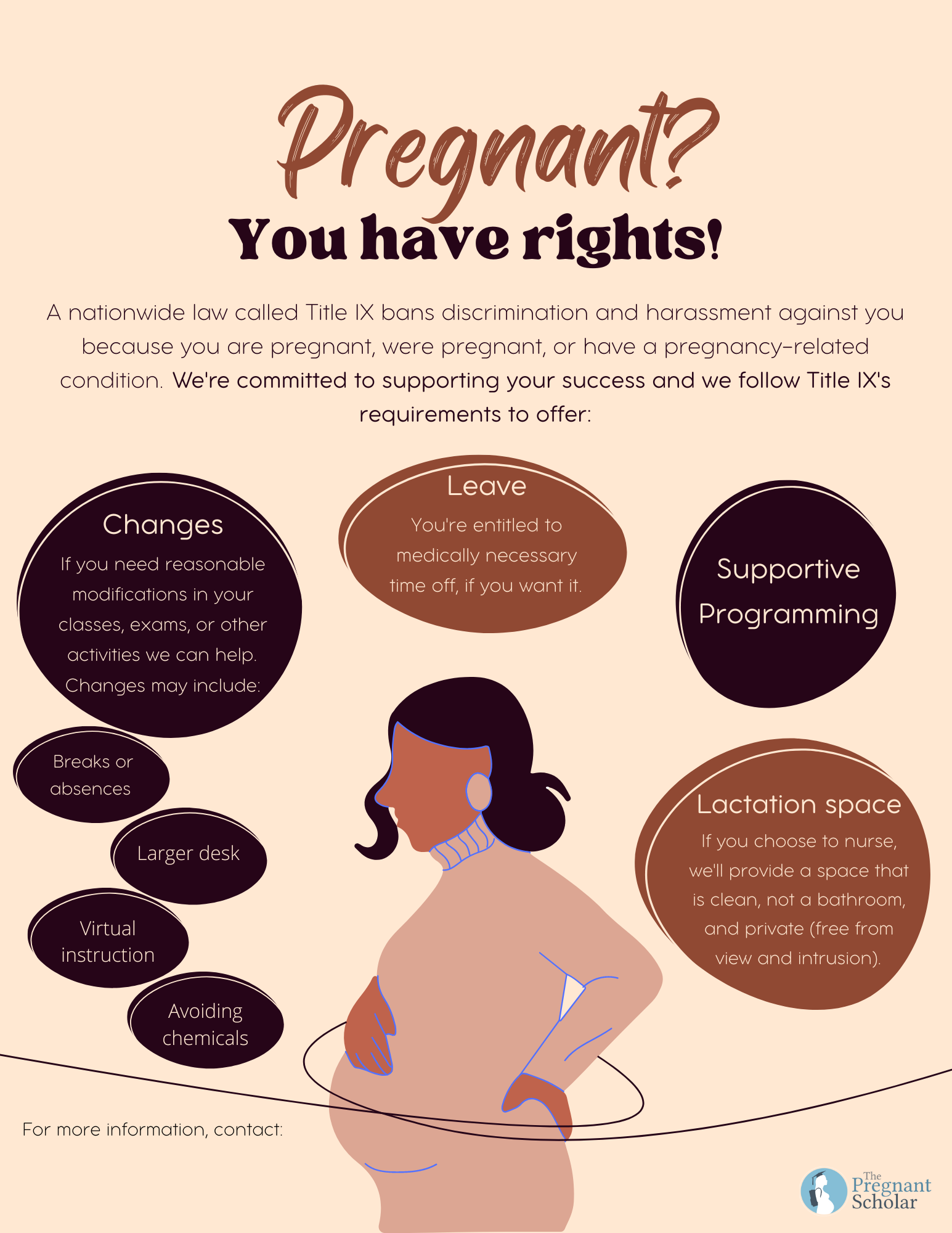 Posters And Social Media Images The Pregnant Scholar